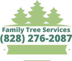 Tree Service In Asheville Nc Buncombe County Family Tree Services